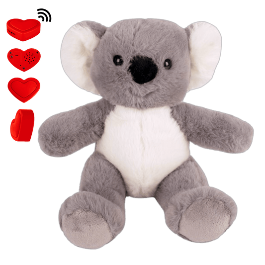 Knuffel Koala met Stemopname – Gepersonaliseerd Cadeau | The Hugify