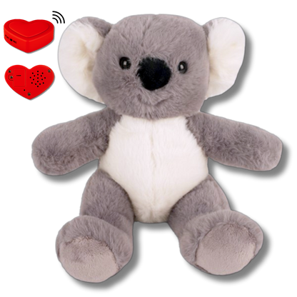 Plüsch-Koala mit Sprachaufnahme – Personalisiertes Kuscheltier