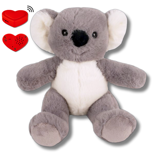Plush Koala with Voice Recording – Personalised Stuffed Animal