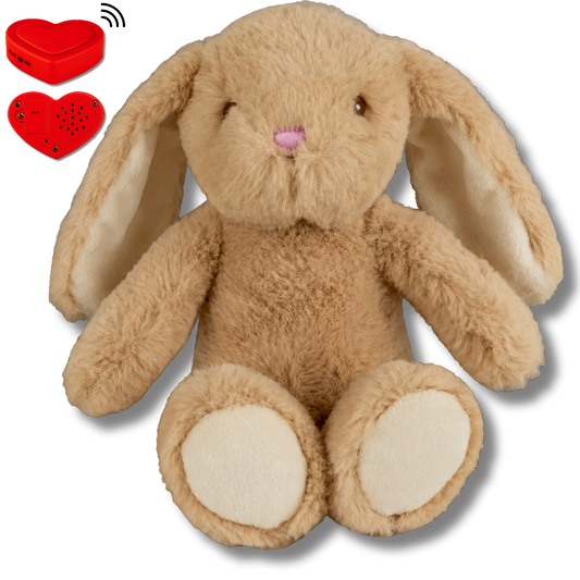 Plush Bunny with Voice Recording – Personalised Stuffed Animal