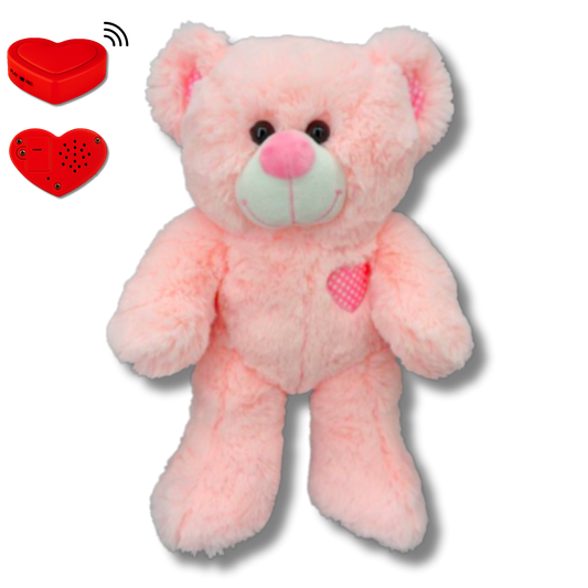 Pink Teddy Bear with Voice Recording – Personalised Stuffed Animal